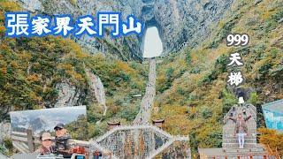 ［張家界5］探索湘西第一神山、天門洞體驗999天梯、ㄧ生必遊如仙境般的張家界，帶大家實際感受一下⋯  拍攝時間   2024.10.22