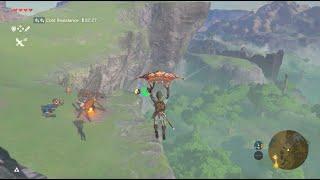 What Happens if You Get Revali's Gale Before the Paraglider? (Zelda Breath of the Wild)