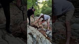 Rolling boulders for Big Gold. Let's Go!! #goldmining #goldprospecting