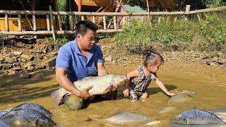 Harvest giant fish ponds with your children to sell at the market - Cooking/XuanTruong