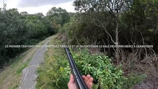 Chasse aux sangliers Corse du sud 02/12/24 tir de 3 