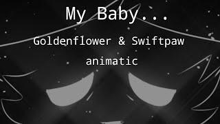 My Baby || Swiftpaw & Goldenflower animatic ||️ BLOOD WARNING ️||