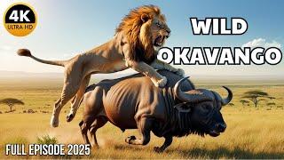 WILD OKAVANGO | Epic Survival Struggles in Africa’s Last Paradise | 4K Animal Documentary