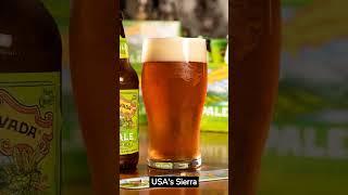 Top 10 Best Beers Around the World