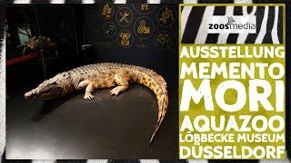 Aquazoo Duesseldorf: Special exhibition MEMENTO MORI | zoos.media