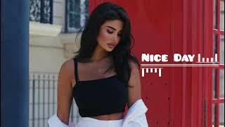 Sevaayan - Nice Day & Rishad Hajibey Hit Orginal Remix