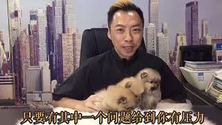 【威廉小贴士】- 小幼犬注意事项