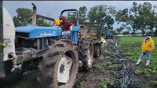 TRACTORES EN EL LODO TRABAJO EXTREMO QUE SOLO LOS TRACTORES NEW HOLLAND PUEDEN HACER 7610 LODERO