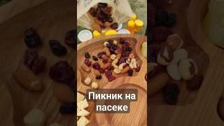 #пасека #пчеловодство #мёд #пчелы #волгоград