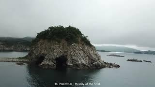 Dj Polkovnik - Melody of the soul (Мелодия души). The most melodic and soulful music. Instrumental.
