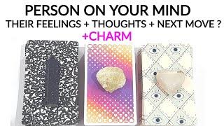 YOUR PERSON  THEIR CURRENT FEELINGS & THOUGHTS  WHAT'S NEXT IN LOVE ? +CHARM TIMELESS