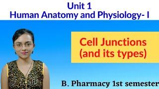 Cell Junction | types of cell junction | unit 1 | Human anatomy and Physiology | B pharmacy 1st sem