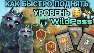 КАК БЫСТРО ПОДНЯТЬ УРОВЕНЬ WildPass в WildCraft