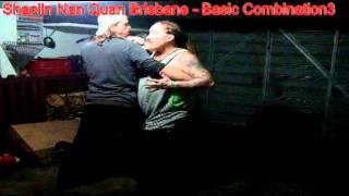 Shaolin Nan Quan Brisbane Basic Fight Combination3 Kung Fu