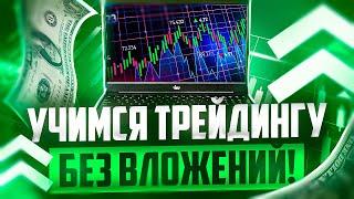 ТРЕЙДИНГ С НУЛЯ! КАК И ГДЕ УЧИТЬСЯ ТРЕЙДИНГУ БЕЗ ВЛОЖЕНИЙ