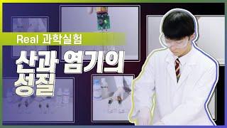 산과 염기의 성질 l Real 과학 실험