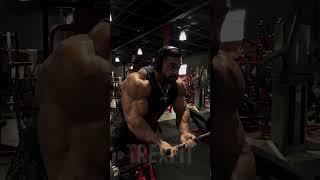 Derek Lunsford Performs Spider Curls | Arm Workout | Mr Olympia 2024 #dereklunsford #mrolympia2024