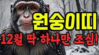 원숭이띠 24년 11월,12월 나이별 운세  92년 80년 68년 56년생 #원숭이띠