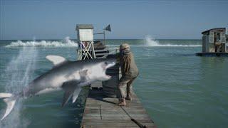 Huge Great White Shark Consumes 5 in 1975 - Amity Island Cluster