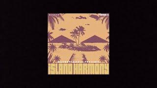 Afro Guitar Sample Pack | Island Harmony by Wav Warehouse