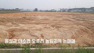 음성군 대소면 오류리 농림지역 논매매