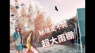 營區介紹【北大清肺農場露營區】三峽｜超美露營區｜露營｜小獨角仙｜空拍｜美景｜秘境｜森林系｜雨棚