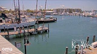 Key West Bight Marina Live WebCam - Key West, Florida Keys