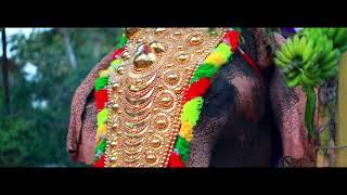 Pangattu Devi Temple  SNPURAM ULSAVAM 2019 GLARE MEDIA