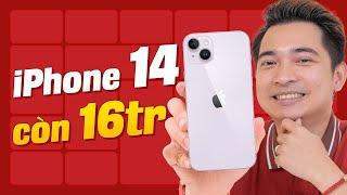 iPhone 14 là lựa chọn bạn sẽ “đắn đo” nhất !!!