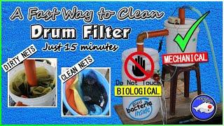 How to Clean Drum Filter for Koi Pond