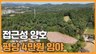 매물번호 667 【임야매물】 서산시 팔봉면 어송리 면적넓은 임야 매물 매매가 1억7.500만원