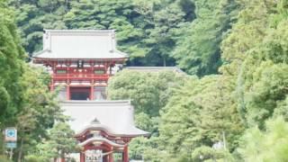 Japan By Dmitry Osika: Tsurugaoka Hachimangu Shrine, Kamakura