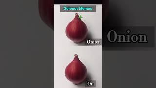 Onion vs On