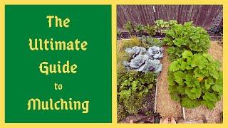 Top 5 Types Of Garden Mulch and How To Use Them