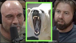 Cute but Ruthless Animals w/Forrest Galante | Joe Rogan