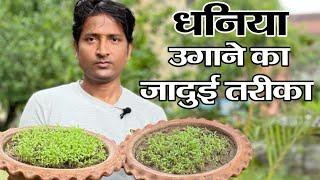 धनिया उगाने का चमत्कारी तरीका | How to Germinate Coriander | Coriander Planting At Home,Rn kushwaha