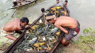 প্রাচীন পদ্ধতিতে নদী থেকে ডুবন্ত নৌকা উঠিয়ে মাছ ধরার অসাধারণ এক পদ্ধতি।