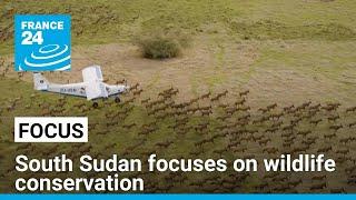 After years of civil war, South Sudan turns its focus to wildlife conservation • FRANCE 24 English