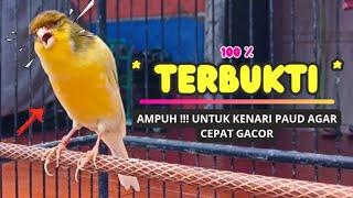 TERBUKTISuara PANCINGAN Kenari Paud BeLajar BUNYI NgeriwiK || MASTERAN Kenari Paud #104