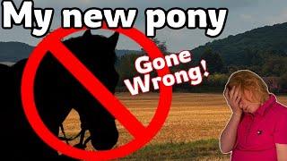 My New Pony GONE WRONG!