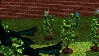 Sims 3. Omni plant.