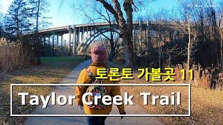 산책길로 그만인 곳 (Taylor Creek Trail)