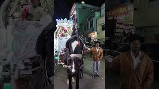 Meri Baggi Mera Ghoda  Horse Power#Shorts SONPARI BAGGI RATILAL BHURABHAU घोड़ेवाले  INDIAN HORSES