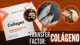 4Life Transfer Factor Collagen –  COLÁGENO BENEFICIOS