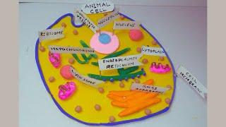 3D animal cell model using clay | Making animal cell model with modelling clay |DIY