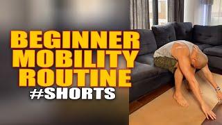 Beginner Mobility Routine