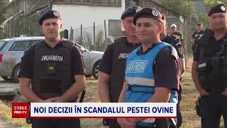 O primă victorie pentru ciobanii scoși în stradă de pestă