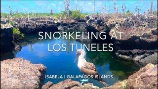 Snorkeling at Los Tuneles - Rebecca Adventure Travel