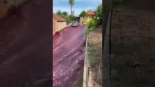 В Португалії вулиці міста затопило червоним вином