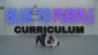 Blue to purple belt curriculum (Gracie Jiu-Jitsu Singapore)